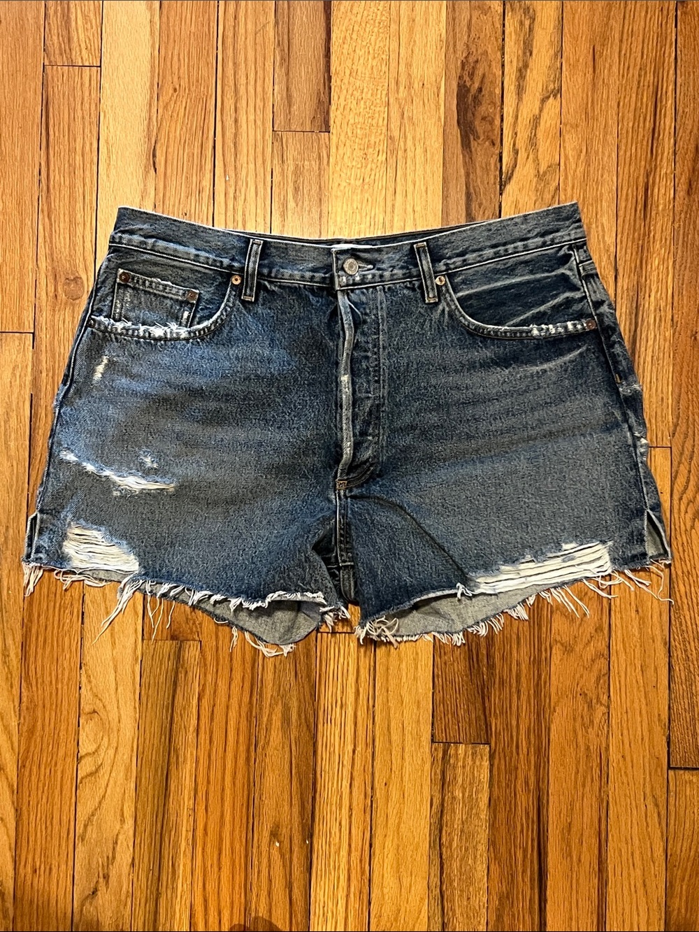 NWOT AGOLDE Dee Vintage High Rise Shorts, 34
